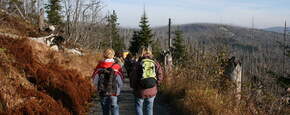 Wandern im Bayerischen Wald